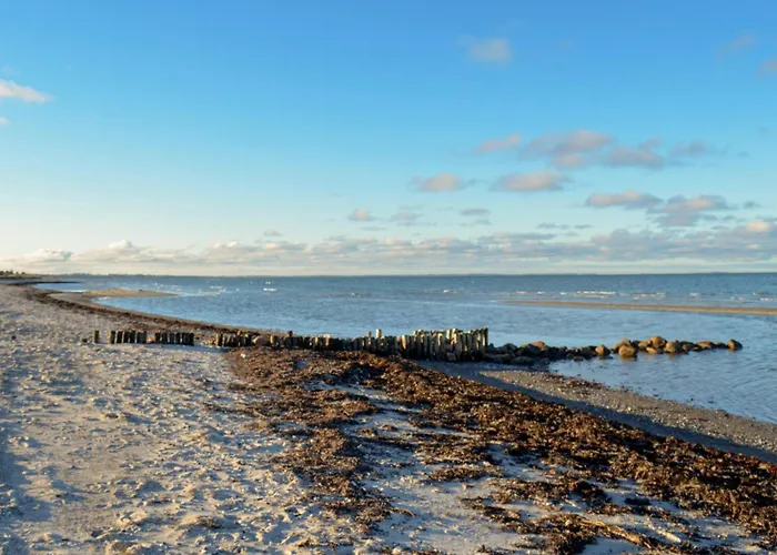 Gyvelvaenget Ii Σπίτι διακοπών *